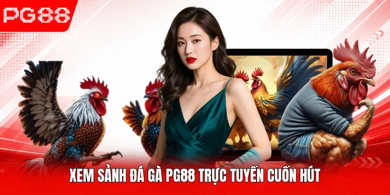 Xem sảnh đá gà PG88 trực tuyến cuốn hút